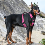 Petspuff Reflective Padded Dog Harness – Adjustable Vest Harness | Medium & Large Dogs
