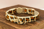 Petspuff Adjustable Cat Collar with Bow & Safety Buckle – Anti-Choke Kitten Collar | 12 Colours - Petspuff