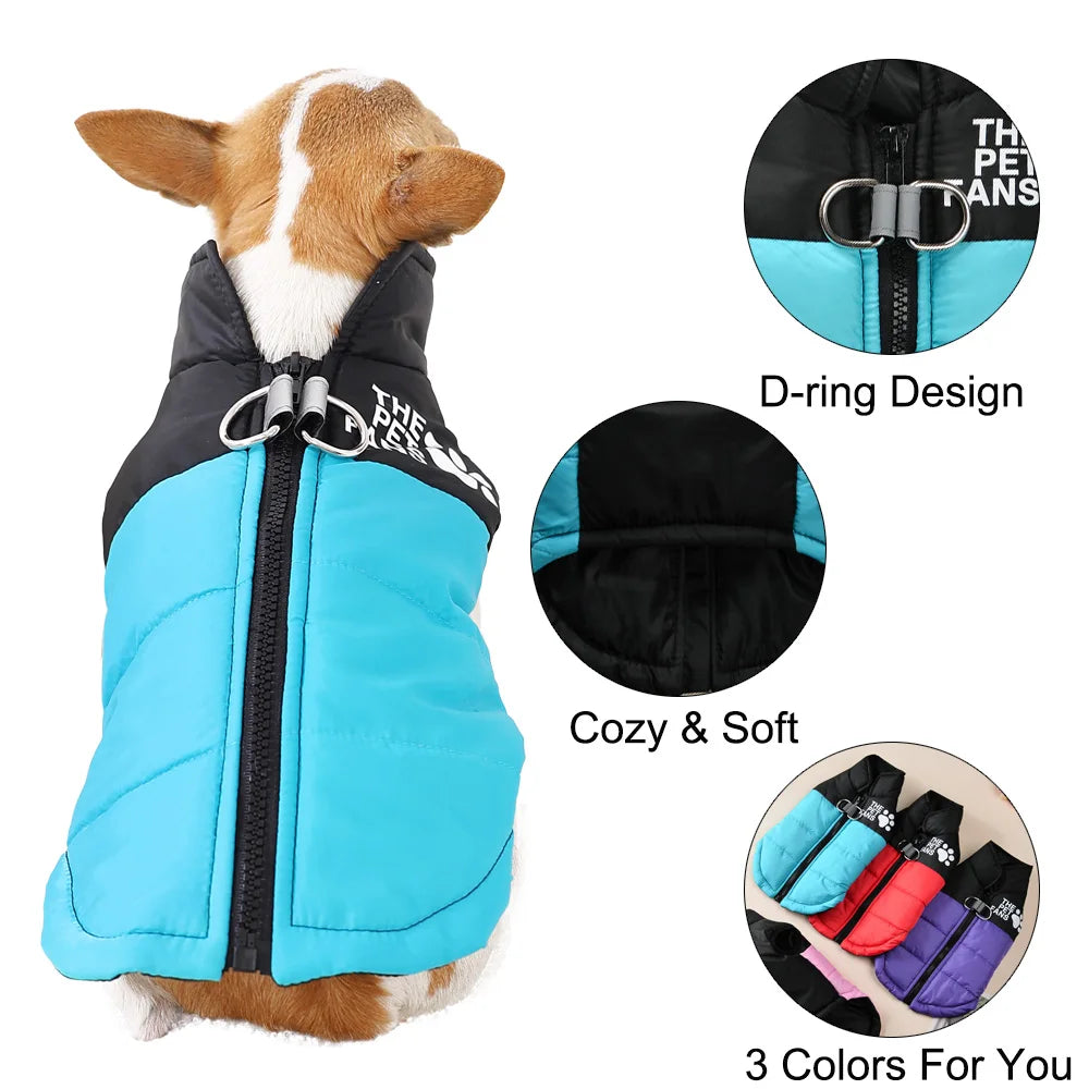 Petspuff Windproof Zip Dog Jacket – Water-Resistant Printed Coat with D-Ring | Small & Medium Dogs