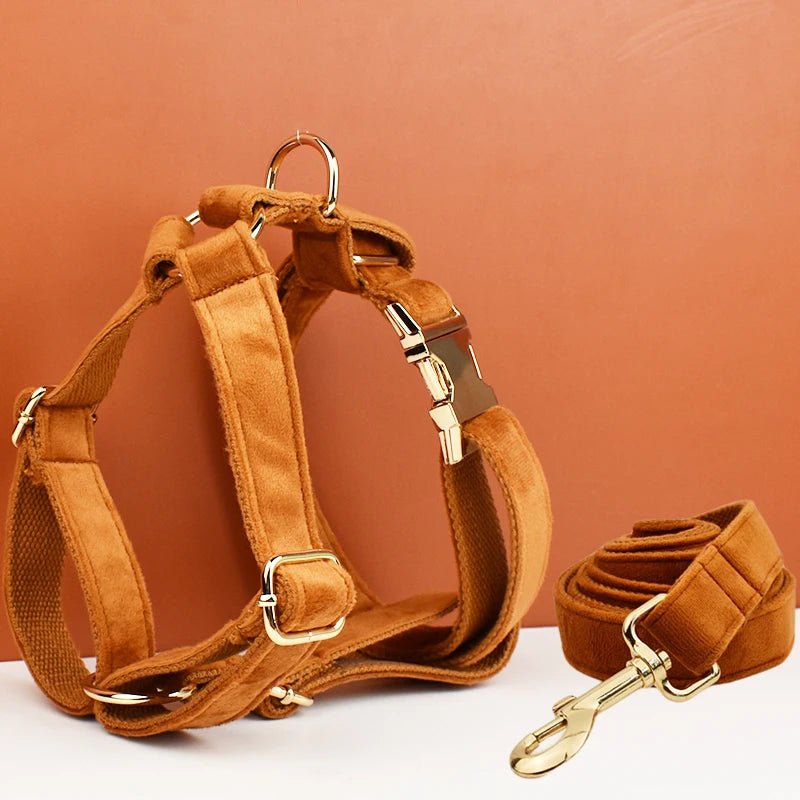 Petspuff Personalised Velvet Dog Harness & Lead Set – Heavy-Duty Metal Hardware | Many Colours - Petspuff