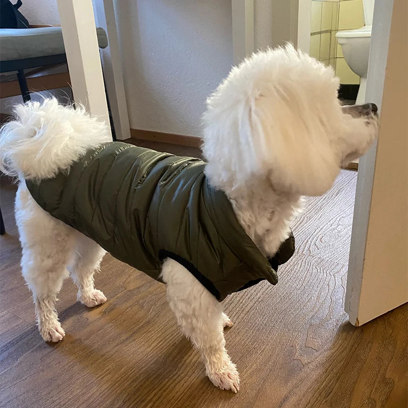 Petspuff Lightweight Dog Vest Jacket – Autumn & Winter Coat | Small & Medium Dogs and Cats