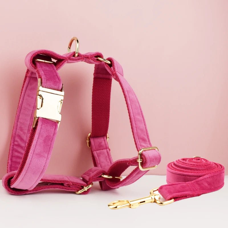 Petspuff Personalised Velvet Dog Harness & Lead Set – Heavy-Duty Metal Hardware | Many Colours - Petspuff