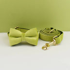 Petspuff Personalised Velvet Dog Collar with Gold Buckle, Bow Tie & Lead – Engraved Name Tag