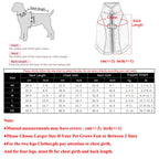 Petspuff Reflective Hiking Dog Jacket – Windproof Fleece Coat with D-Ring | Small & Medium Dogs