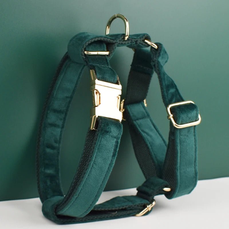 Petspuff Personalised Green Velvet Dog Collar & Lead Set – Engraved Name Tag, Bow & Harness - Petspuff