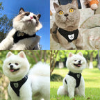 Petspuff Air Mesh Harness & Lead Set – Reflective Breathable Vest Harness | Small Dogs & Cats