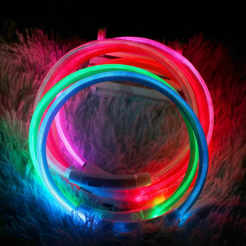 Petspuff USB Rechargeable LED Dog Collar – Glow Safety Light for Night Walks | Cut to Fit