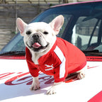 Petspuff Baseball Varsity Dog Jacket – Warm Winter Coat | Small & Medium Dogs