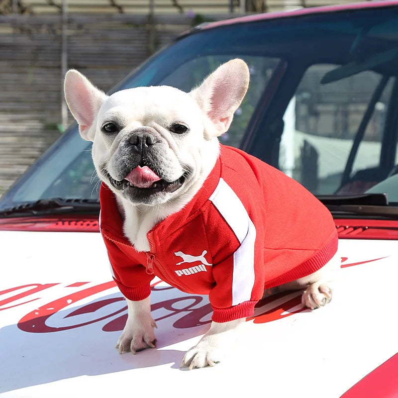 Petspuff Baseball Varsity Dog Jacket – Warm Winter Coat | Small & Medium Dogs