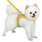 Petspuff Linen Vest Harness & Lead Set – Soft Breathable Harness | Small Dogs, Puppies & Cats