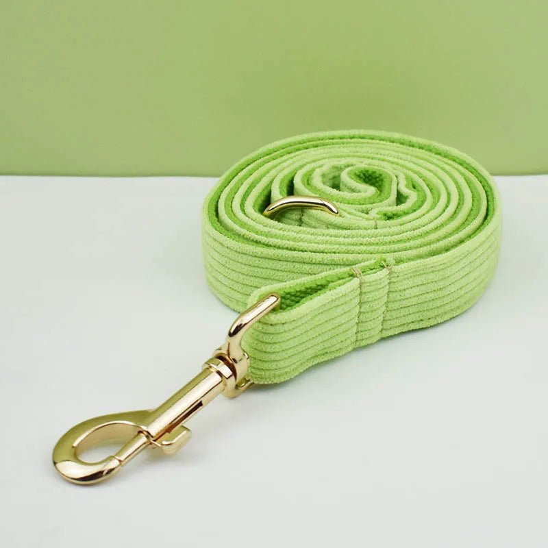 Petspuff Personalised Apple Green Corduroy Dog Collar & Lead Set – Engraved Name Tag, Bow & Harness