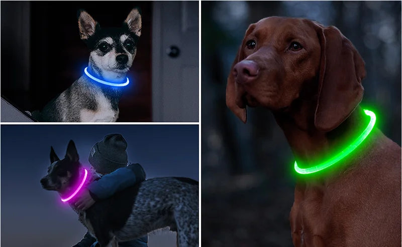 Petspuff USB Rechargeable LED Dog Collar – Glow Safety Light for Night Walks | Cut to Fit