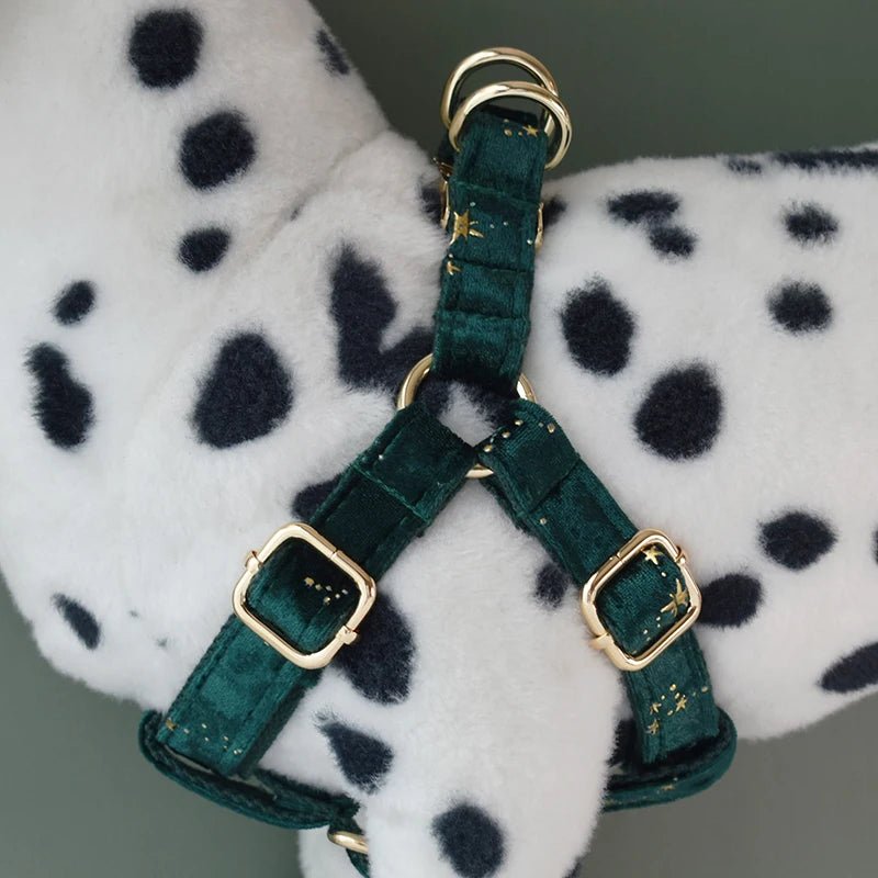 Petspuff Personalised Green Velvet Dog Harness & Lead – Engraved ID Tag, Gold Hardware & Bow - Petspuff