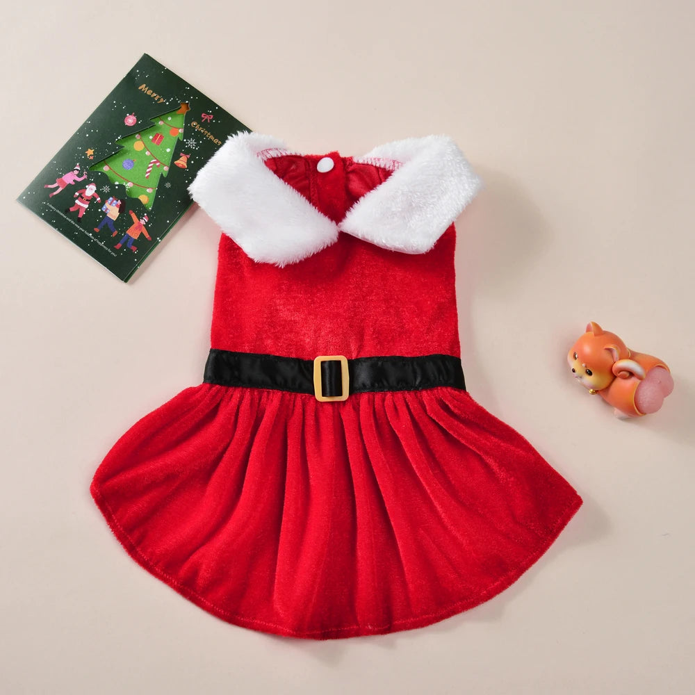 Petspuff Santa Dog Dress – Red Velvet Christmas Costume | Small Dogs & Cats