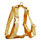 Petspuff Personalised Banana Print Dog Collar, Harness & Lead Set – Engraved Name Tag & Bow