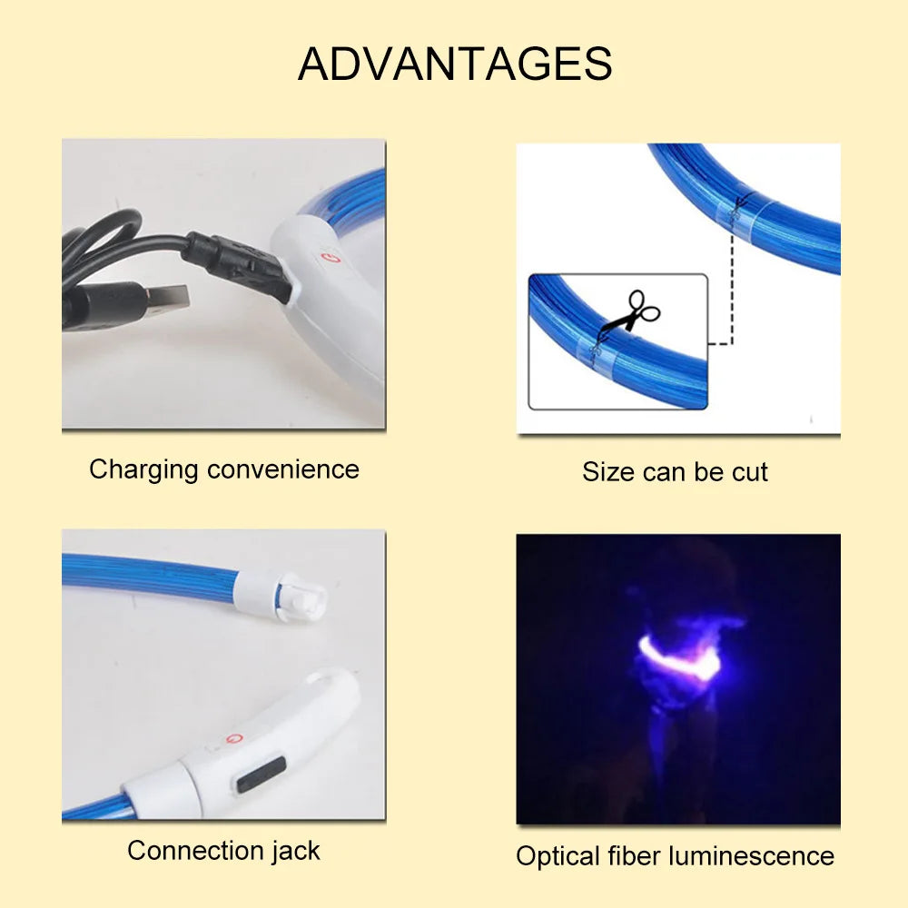 Petspuff USB Rechargeable LED Dog Collar – Glow Safety Light for Night Walks | Cut to Fit