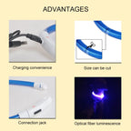 Petspuff USB Rechargeable LED Dog Collar – Glow Safety Light for Night Walks | Cut to Fit