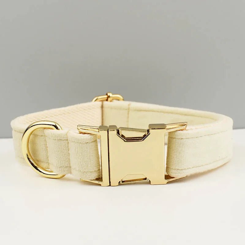Petspuff Personalised Velvet Dog Collar with Gold Buckle, Bow Tie & Lead – Engraved Name Tag