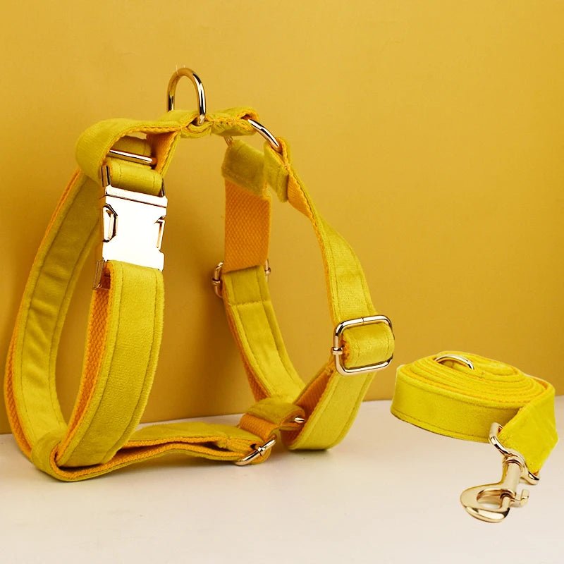 Petspuff Personalised Velvet Dog Harness & Lead Set – Heavy-Duty Metal Hardware | Many Colours - Petspuff