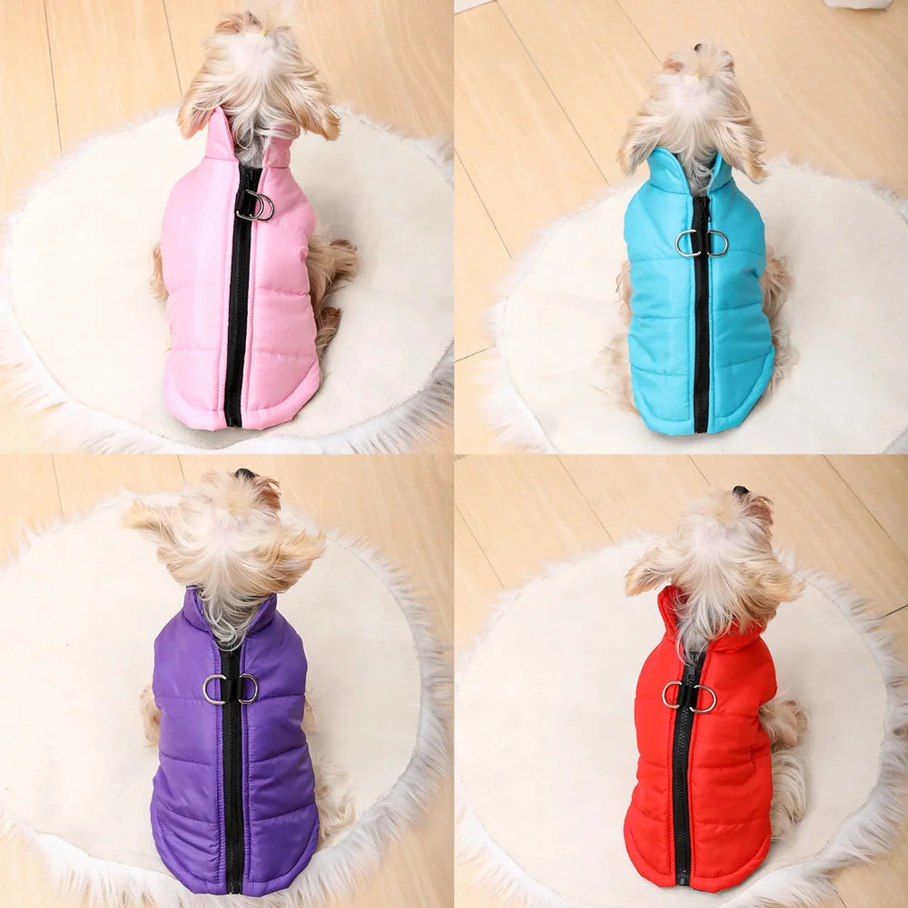 Petspuff Outdoor Camping Dog Jacket – Windproof Warm Coat with D-Ring | Small & Medium Dogs
