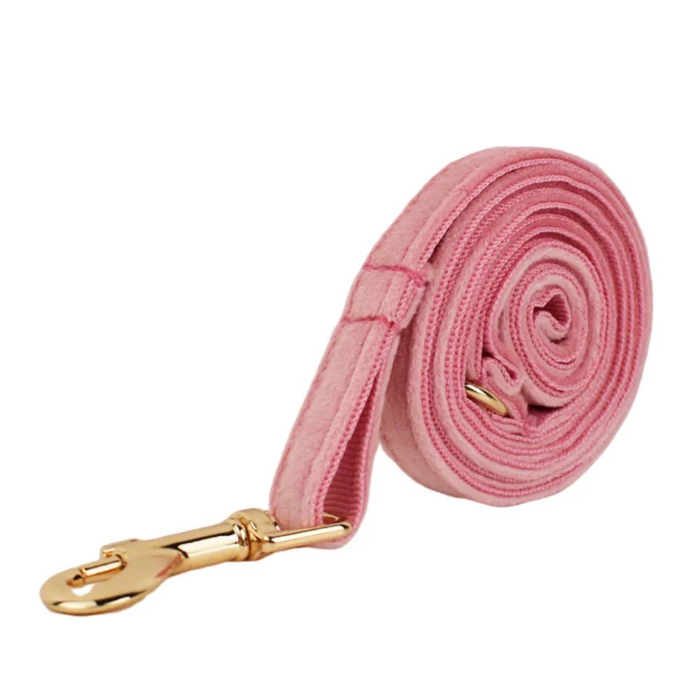 Petspuff Personalised Bow Cat Collar & Lead with Bell – Engraved ID Tag | 7 Colours
