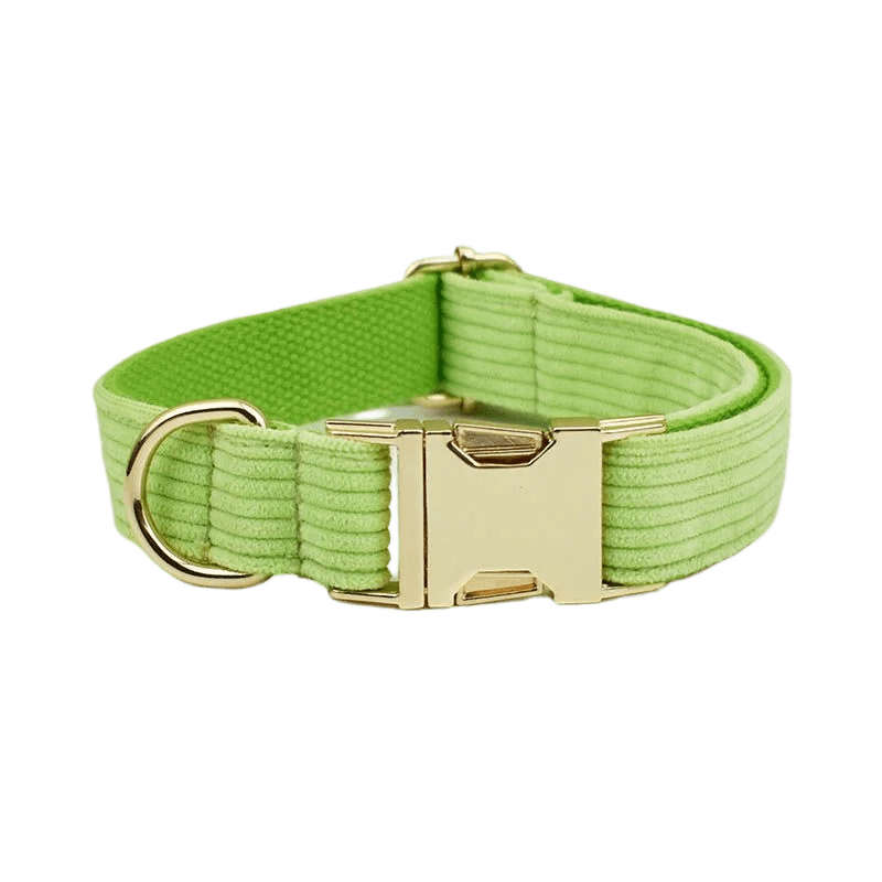 Petspuff Personalised Apple Green Corduroy Dog Collar & Lead Set – Engraved Name Tag, Bow & Harness