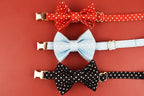 Petspuff Personalised Soft Cat Collar with Bow & Safety Buckle – Engraved Name | 7 Colours