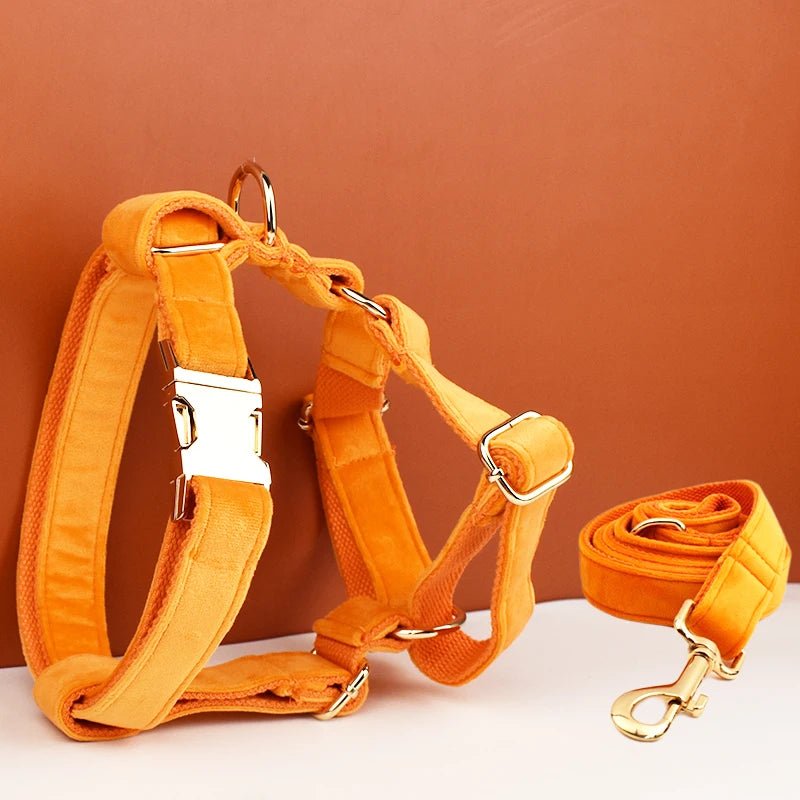 Petspuff Personalised Velvet Dog Harness & Lead Set – Heavy-Duty Metal Hardware | Many Colours - Petspuff