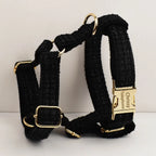 Petspuff Personalised Dog Collar with Free Engraved ID Tag – Matching Lead, Harness & Bow Set
