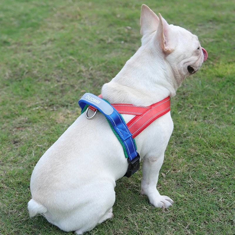 Petspuff Two-Tone Saddle Dog Harness – Reflective Padded Harness | Small to Large Dogs