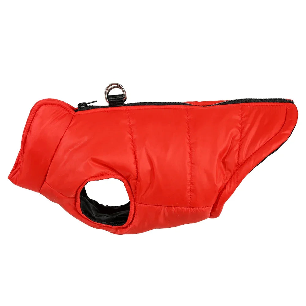 Petspuff Outdoor Camping Dog Jacket – Windproof Warm Coat with D-Ring | Small & Medium Dogs