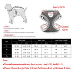 Petspuff Escape-Proof Cat Harness & Lead Set – Reflective Mesh Vest | Cats, Kittens & Small Dogs
