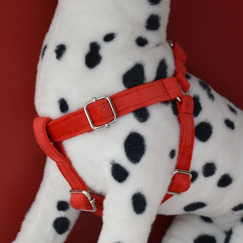Petspuff Personalised Velvet Dog Harness & Lead – Engraved Nameplate, Silver Hardware | S–XL - Petspuff
