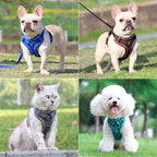 Petspuff Reflective Dog Harness & Lead Set – Adjustable Padded Vest | Small & Medium Dogs and Cats