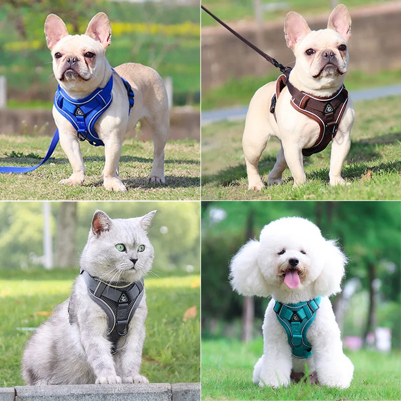 Petspuff Reflective Dog Harness & Lead Set – Adjustable Padded Vest | Small & Medium Dogs and Cats