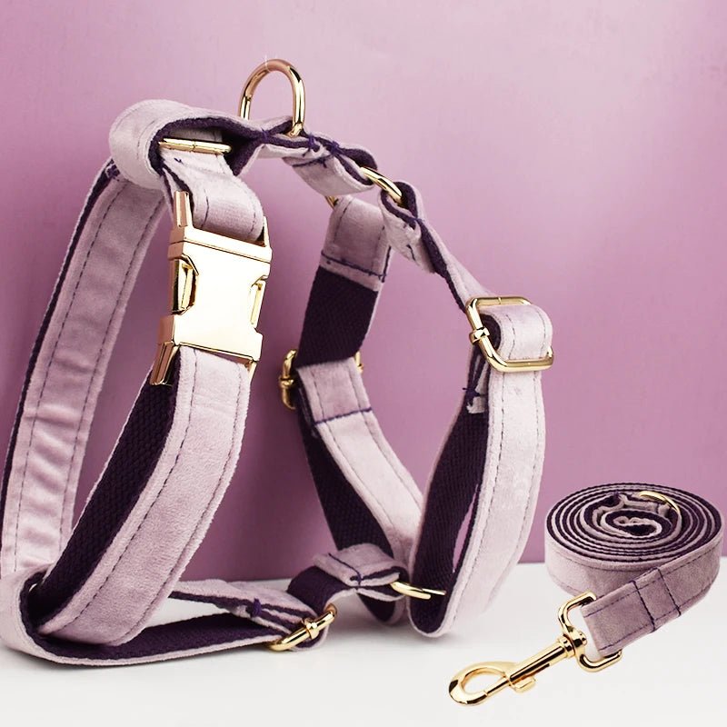 Petspuff Personalised Velvet Dog Harness & Lead Set – Heavy-Duty Metal Hardware | Many Colours - Petspuff