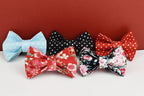 Petspuff Personalised Soft Cat Collar with Bow & Safety Buckle – Engraved Name | 7 Colours