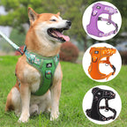 Petspuff Daisy Reflective No-Pull Dog Harness – Padded Vest Harness | Medium & Large Dogs