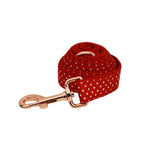 Petspuff Personalised Polka Dot Dog Collar & Lead Set – Engraved Name Tag, Bow & Harness - Petspuff