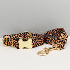 Petspuff Personalised Boho Dog Collar & Lead – Engraved Nameplate | 5 Designs, S–XL