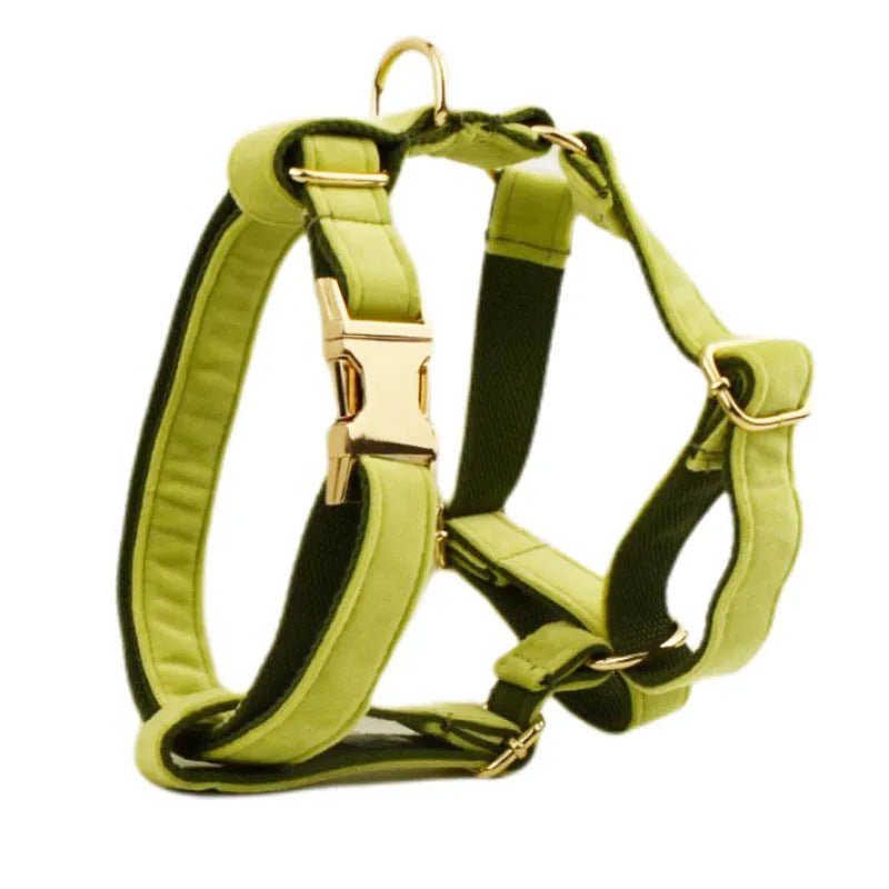 Petspuff Personalised Avocado Green Velvet Dog Collar & Lead Set – Engraved Name Tag, Bow & Harness - Petspuff