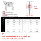Petspuff Waterproof Dog Coat with D-Ring – Fleece-Lined Winter Jacket | Small & Medium Dogs