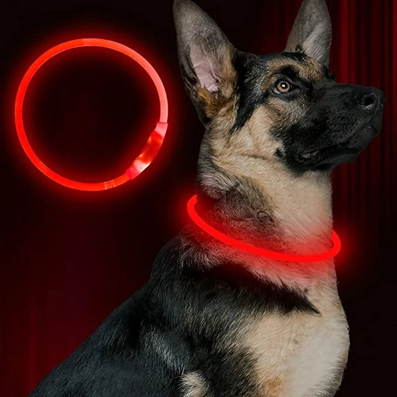 Petspuff USB Rechargeable LED Dog Collar – Glow Safety Light for Night Walks | Cut to Fit