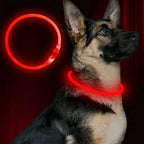Petspuff USB Rechargeable LED Dog Collar – Glow Safety Light for Night Walks | Cut to Fit