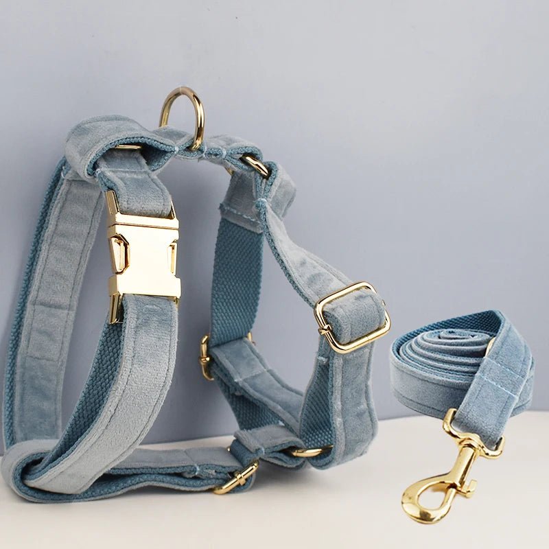 Petspuff Personalised Dog Harness & Lead Set with Poop Bag Holder – Engraved Name Tag | 19 Designs - Petspuff