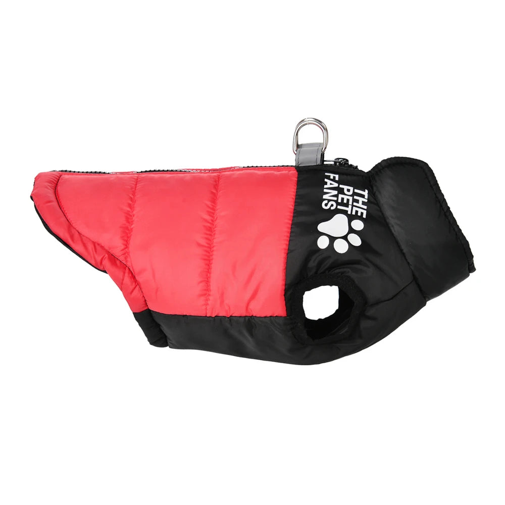 Petspuff Windproof Zip Dog Jacket – Water-Resistant Printed Coat with D-Ring | Small & Medium Dogs