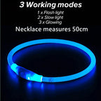 Petspuff USB Rechargeable LED Dog Collar – Glow Safety Light for Night Walks | Cut to Fit