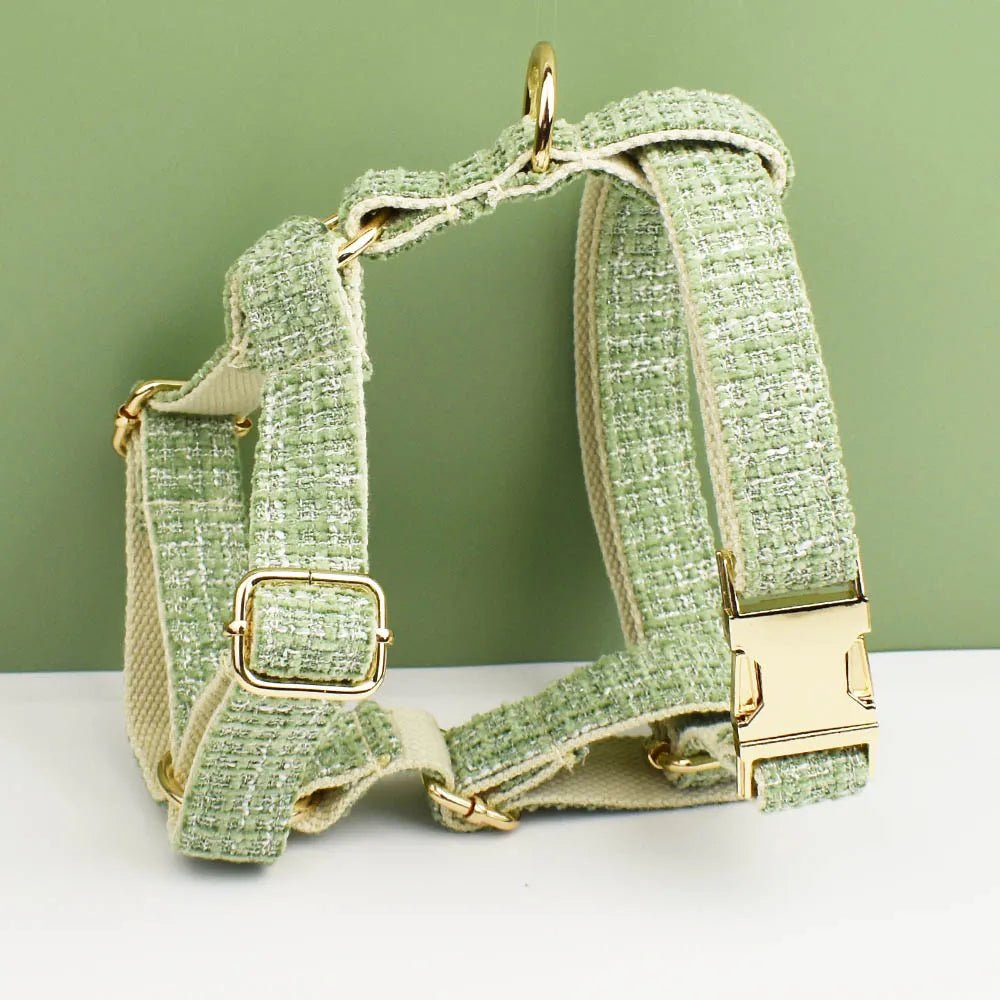 Petspuff Personalised Lime Green Dog Collar, Harness & Lead Set – Engraved Nameplate & Bow