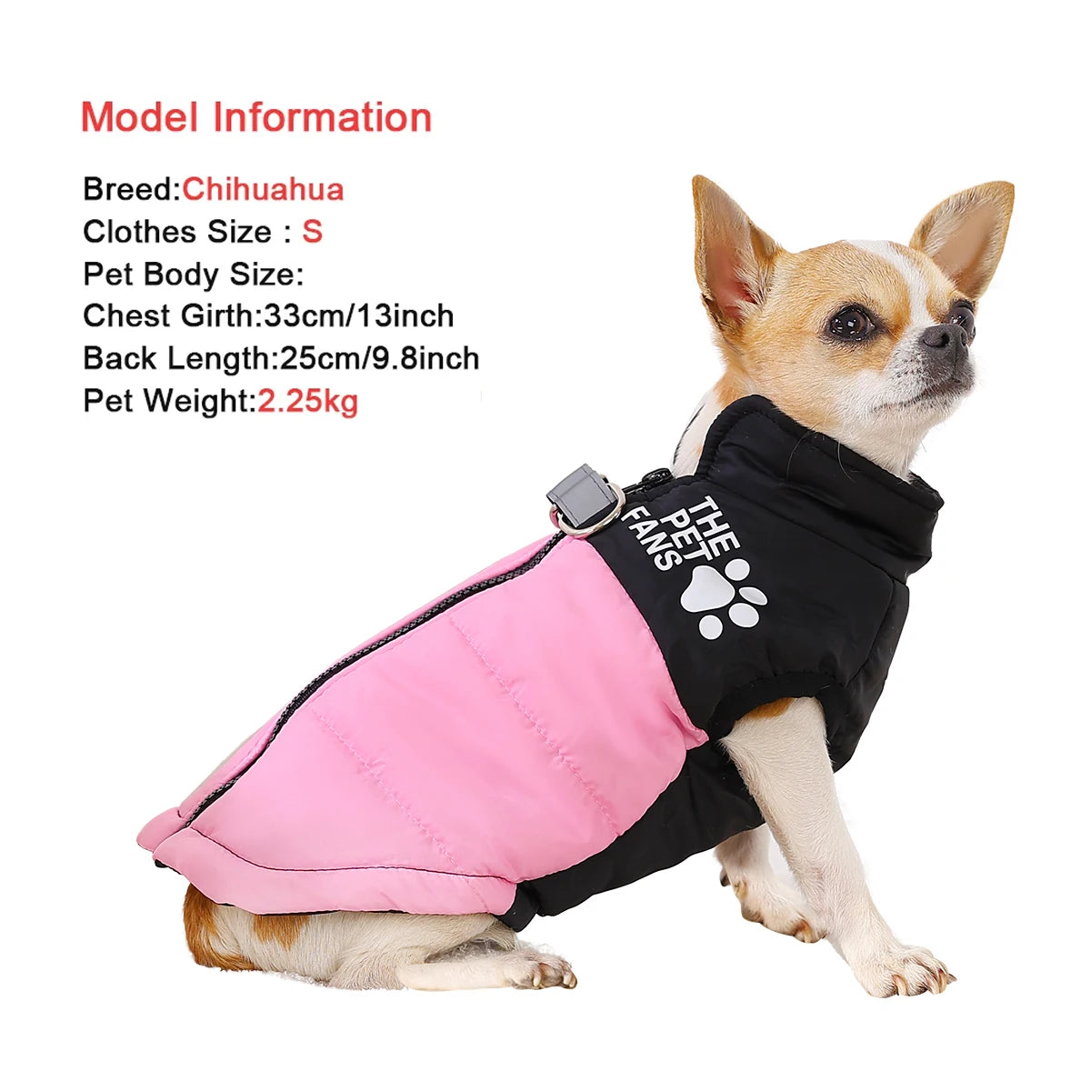 Petspuff Windproof Zip Dog Jacket – Water-Resistant Printed Coat with D-Ring | Small & Medium Dogs