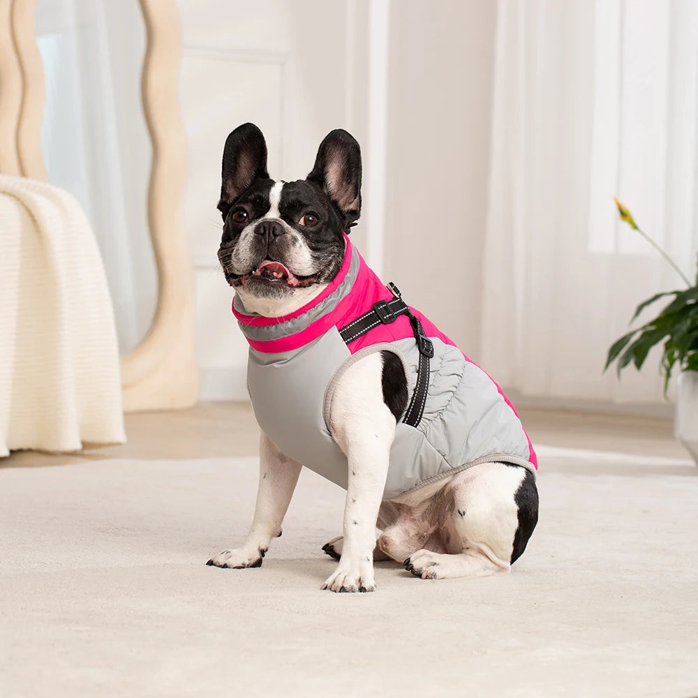 Petspuff Waterproof Dog Coat with Built-In Harness – Padded Winter Jacket | Small to Extra Large Dogs